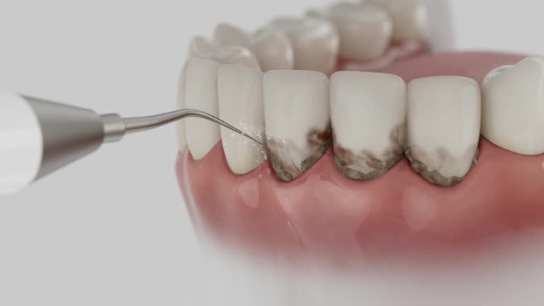 Reliable Dental contractor in Ansted, WV by Dentist Open Now